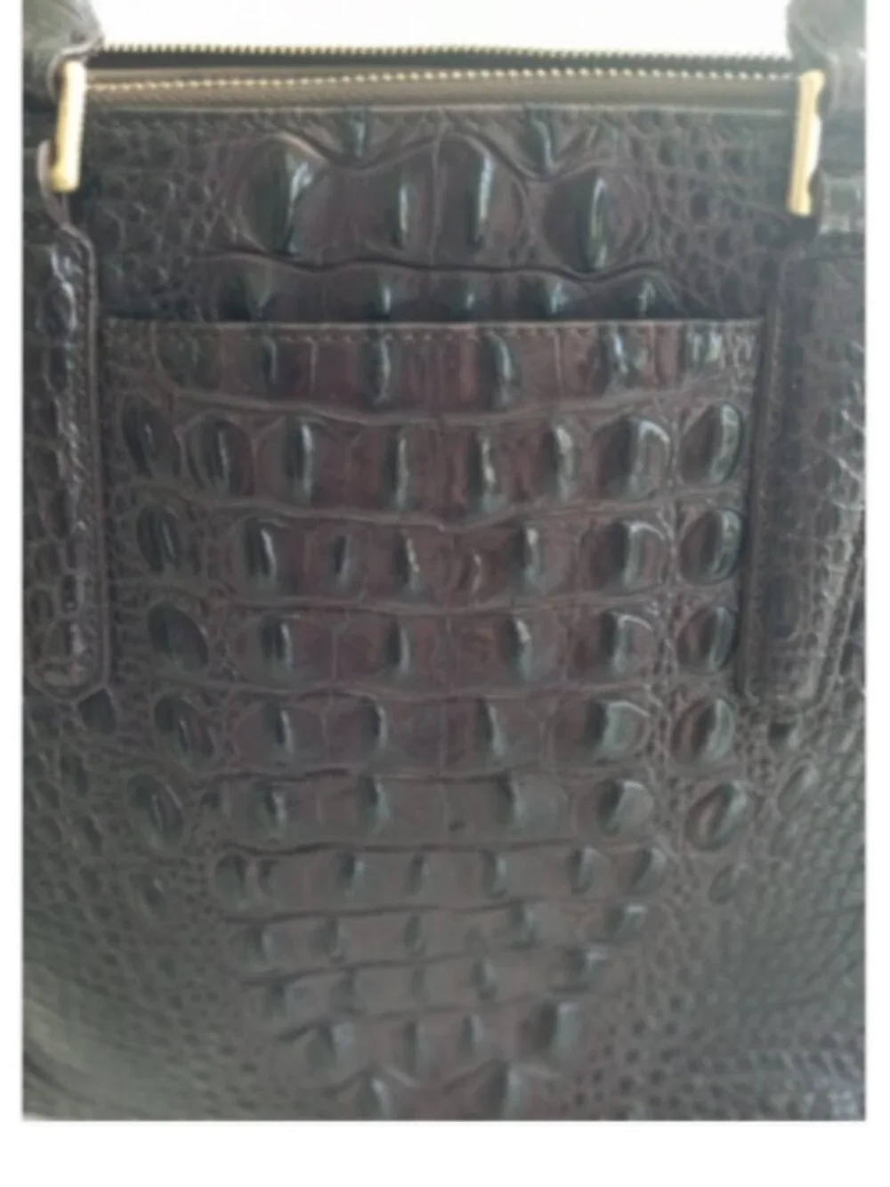 Brahmin asher satchel